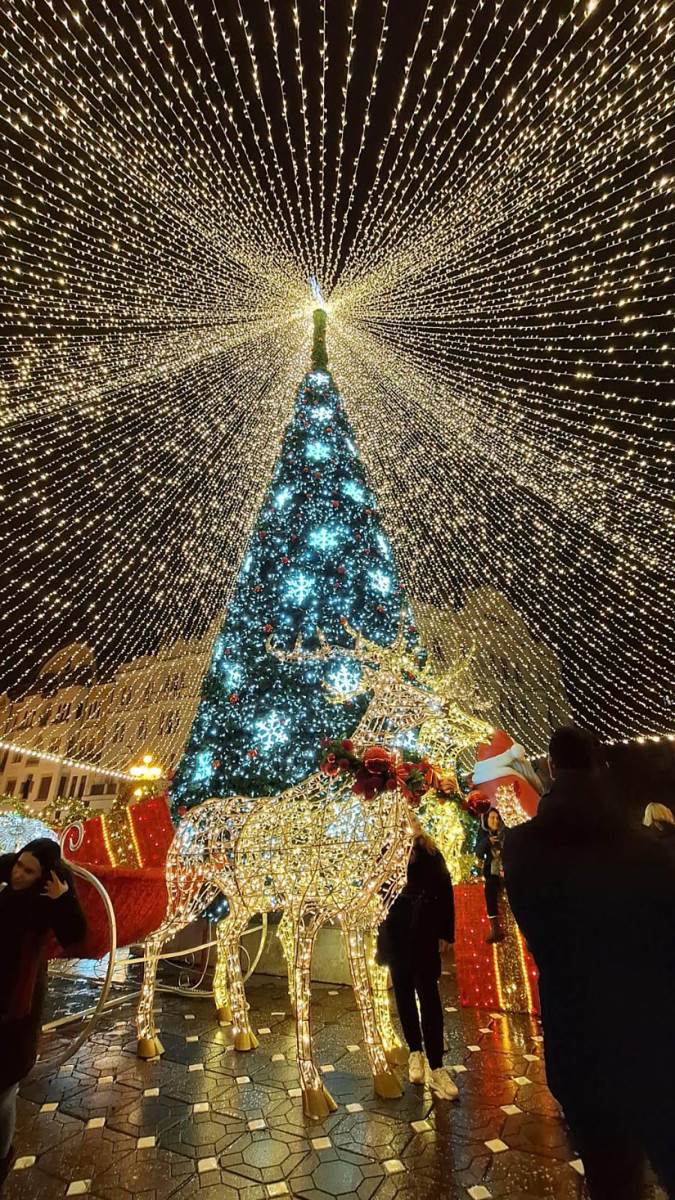 Temišvar advent (24).jpg