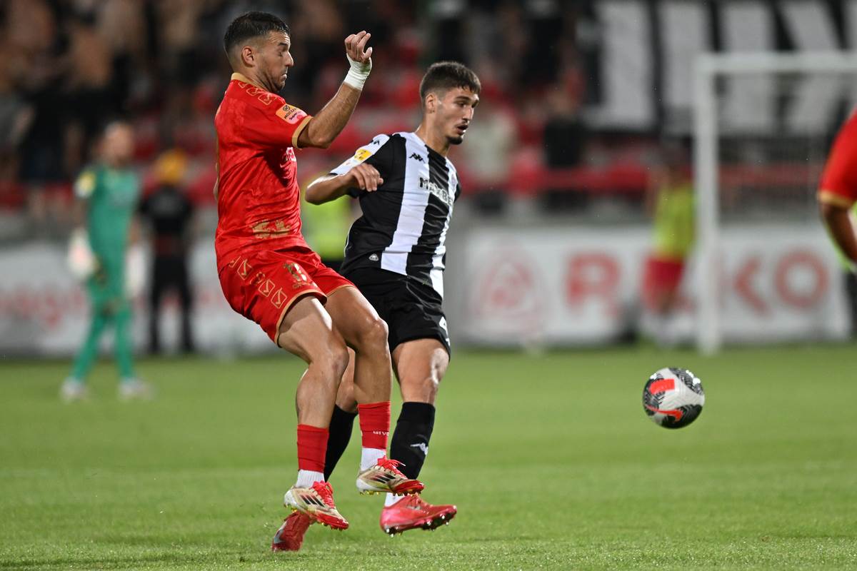 Nikola Simić (1).jpg