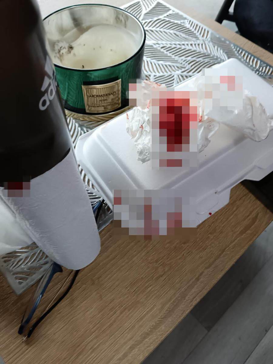 vršnjačko nasilje u Vlastotincu (1).jpg