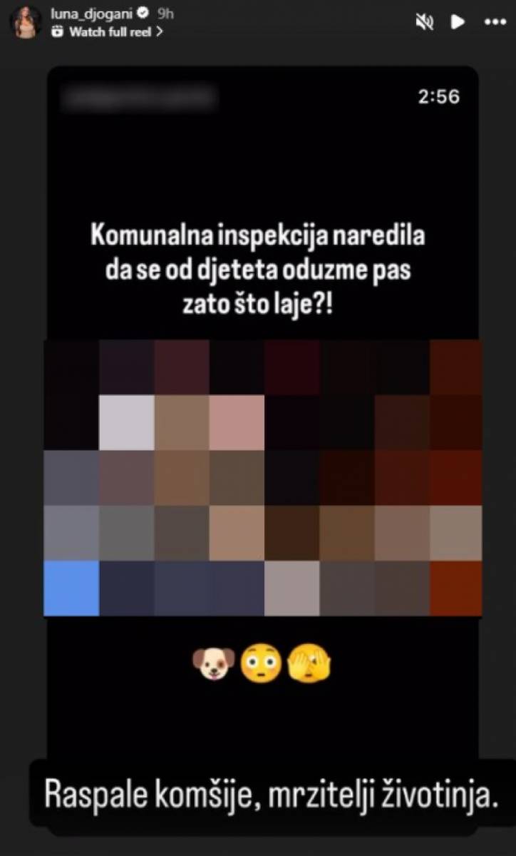 "Raspale komšije": Oglasila se Luna nakon hapšenja Marka Miljkovića, kipti od besa