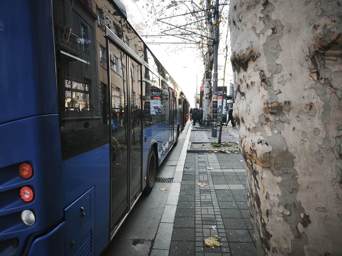 potpuni kolaps prevoza (3).jpg