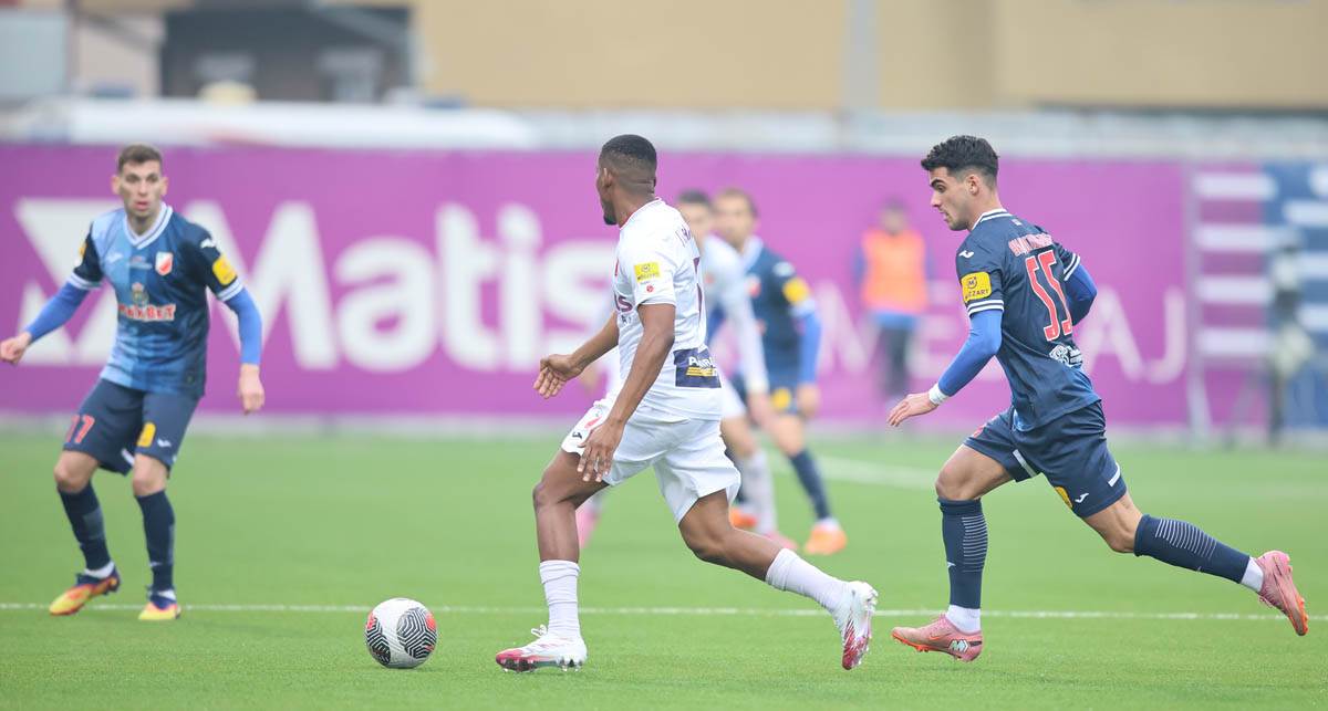 Javor - Vojvodina (1).jpg