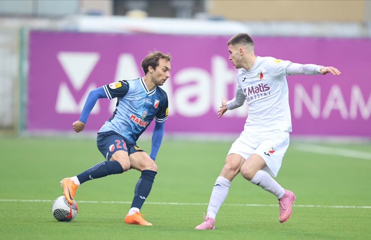 Javor - Vojvodina (2).jpg