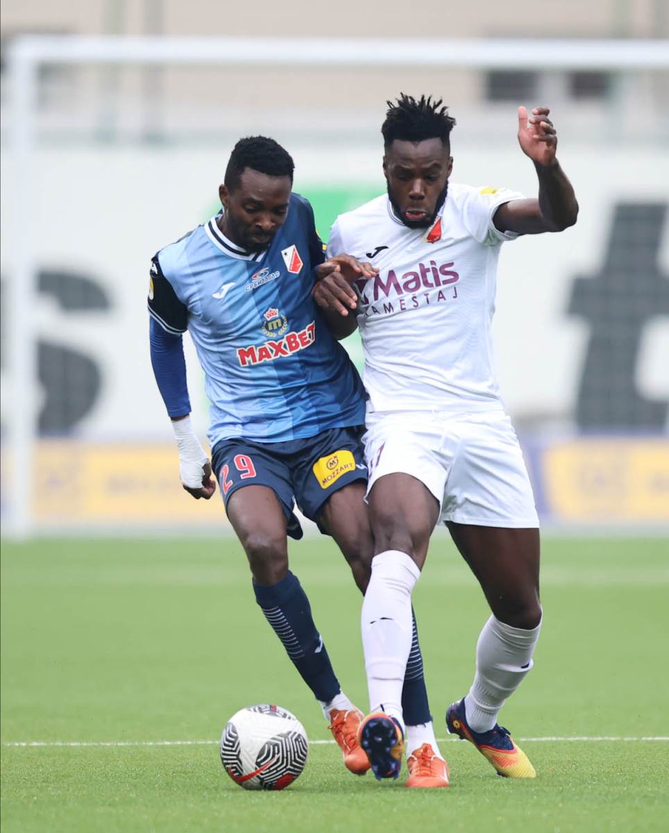 Javor - Vojvodina (4).jpg