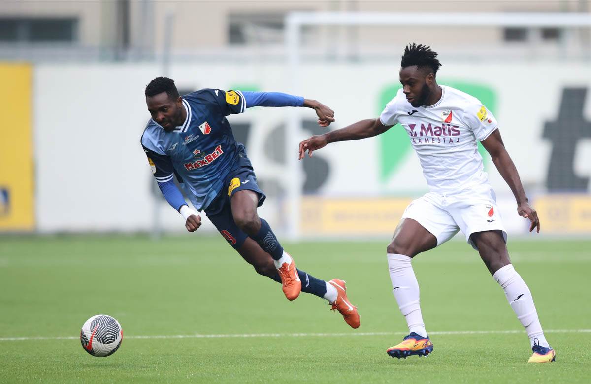 Javor - Vojvodina (5).jpg