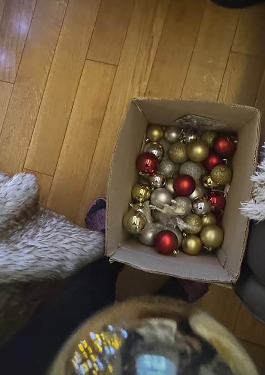 Tanja Savić okitila dom za praznike (4).jpg