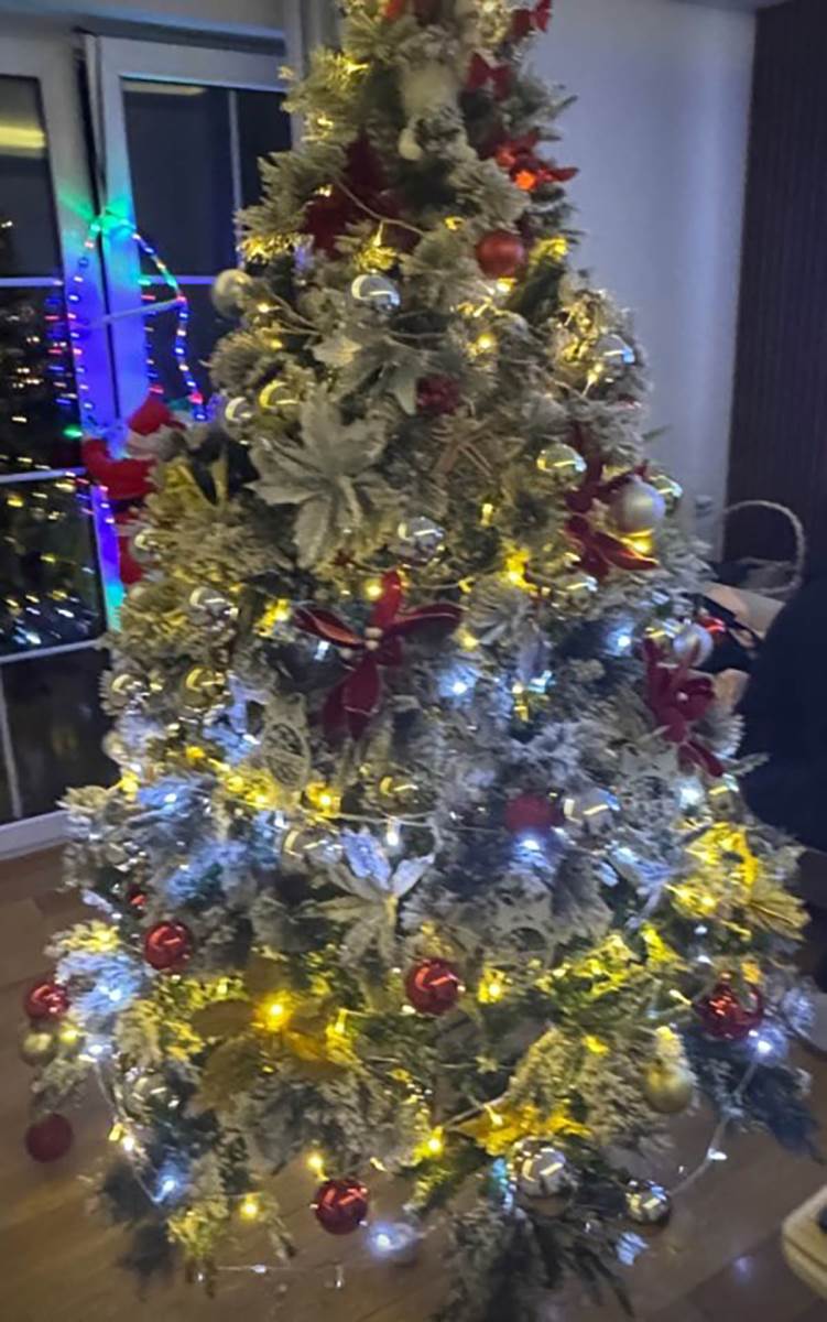 Tanja Savić okitila dom za praznike (5).jpg