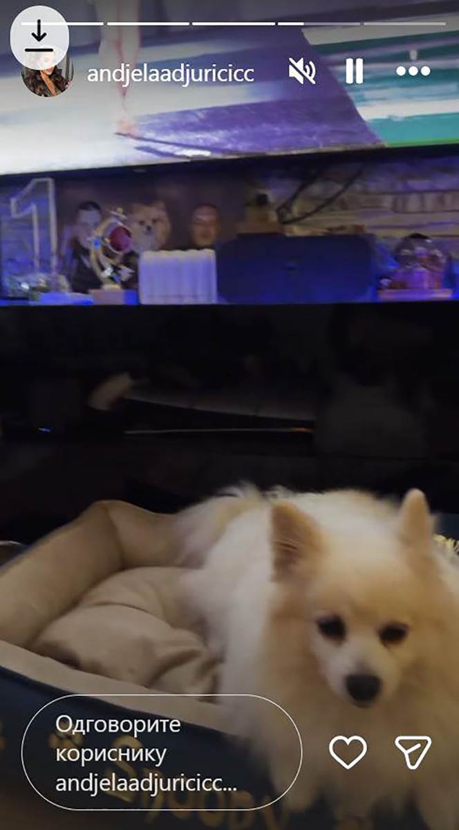 Stan Anđele i Gastoza (2).jpg