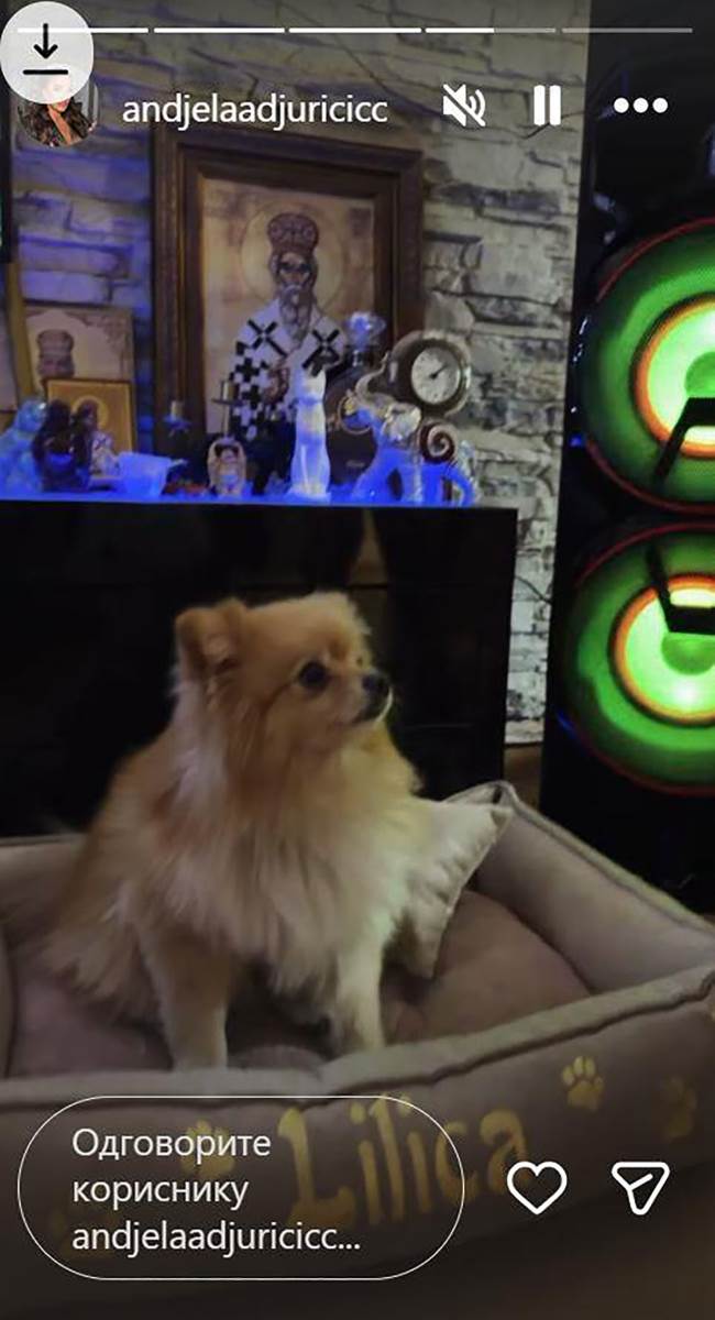 Stan Anđele i Gastoza (3).jpg