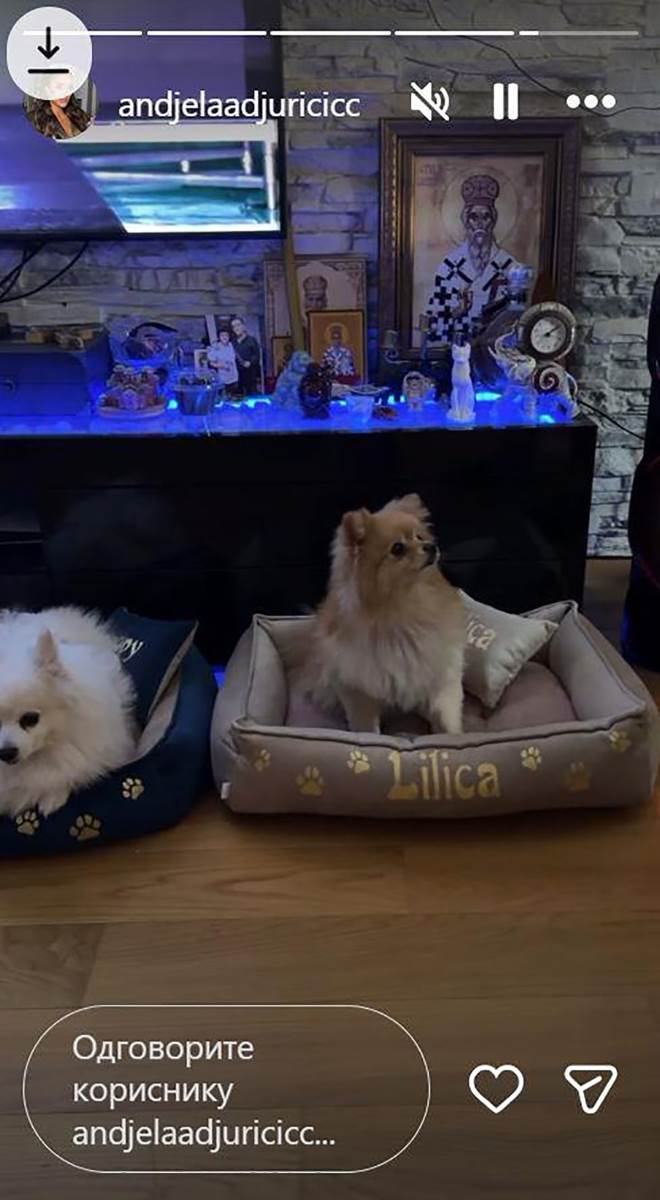 Stan Anđele i Gastoza (5).jpg