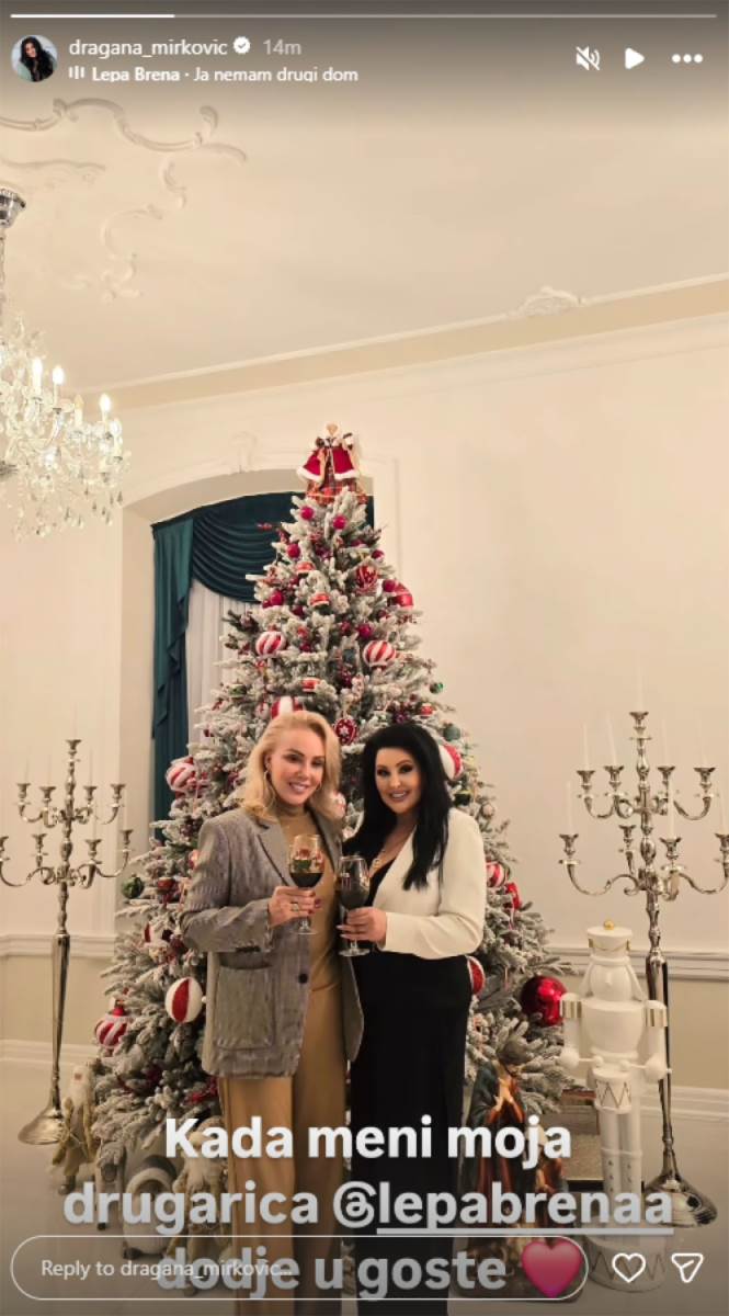 Lepa Brena Dragana Mirković u dvorcu (4).jpg