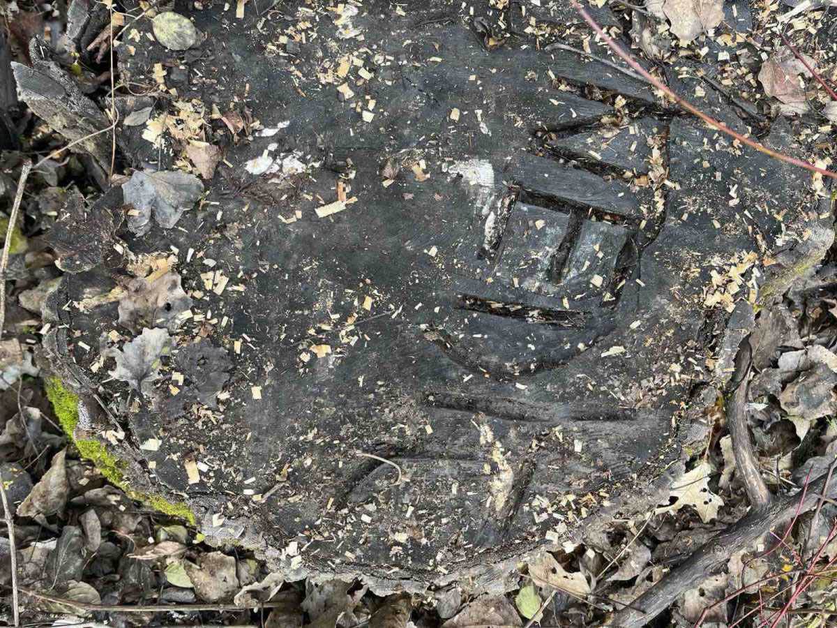 Glumcu iz serije Selo gori, a baba se češlja lopovi posekli šumu (2).jpg