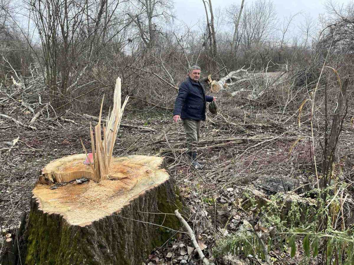 Glumcu iz serije Selo gori, a baba se češlja lopovi posekli šumu (4).jpg