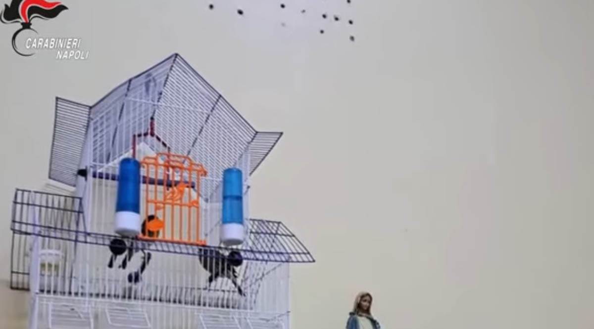 Stan u kojem se krio mafijaš Ćiro Andolfi (4).jpg