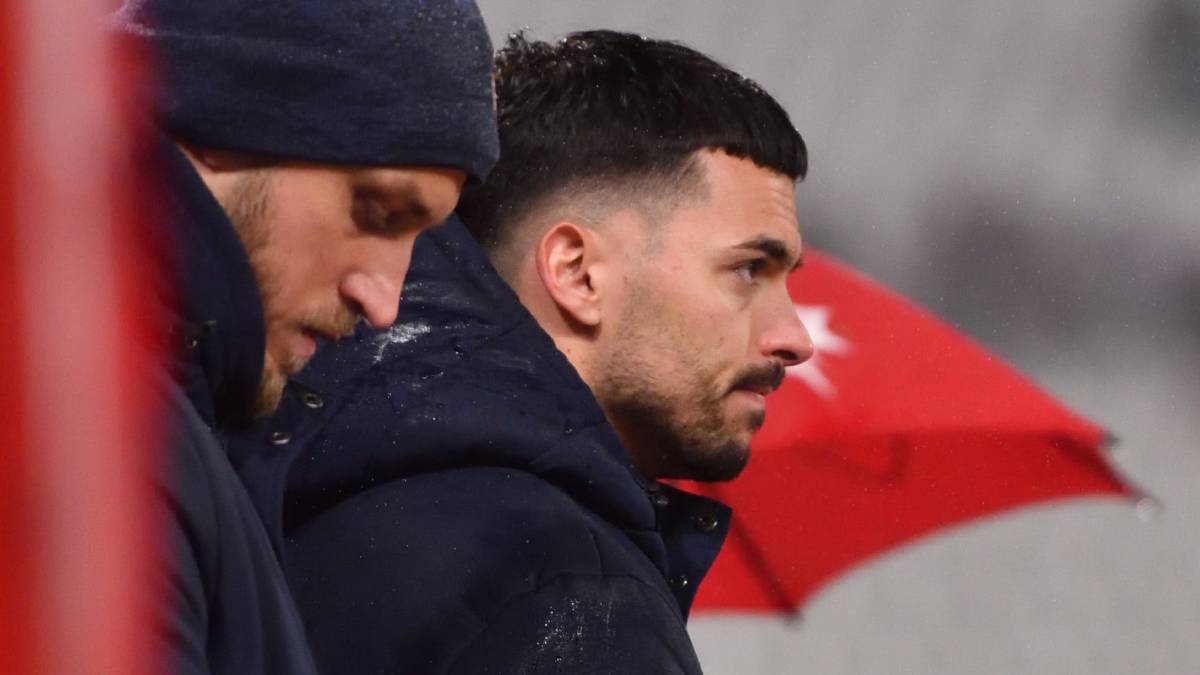 Nemanja Radonjić i Marko Arnautović na utakmici Zvezde kraj terena