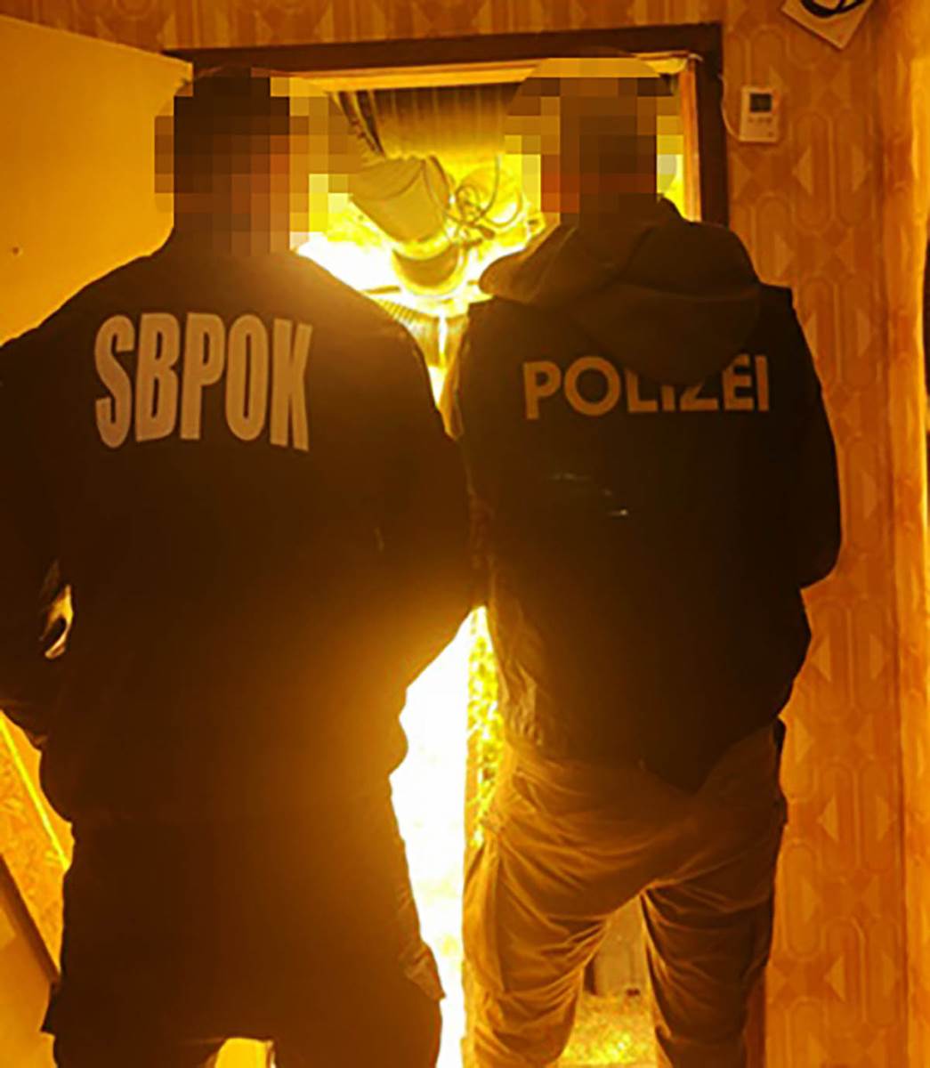 laboratorija marihuane (3).jpg