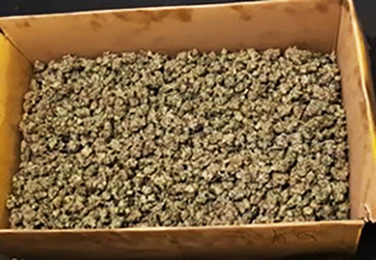 laboratorija marihuane (5).jpg