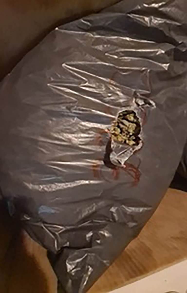 laboratorija marihuane (6).jpg