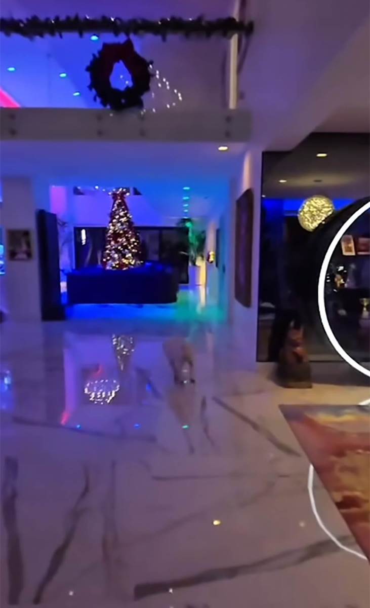 Koko Ostin nova kuća (2).jpg