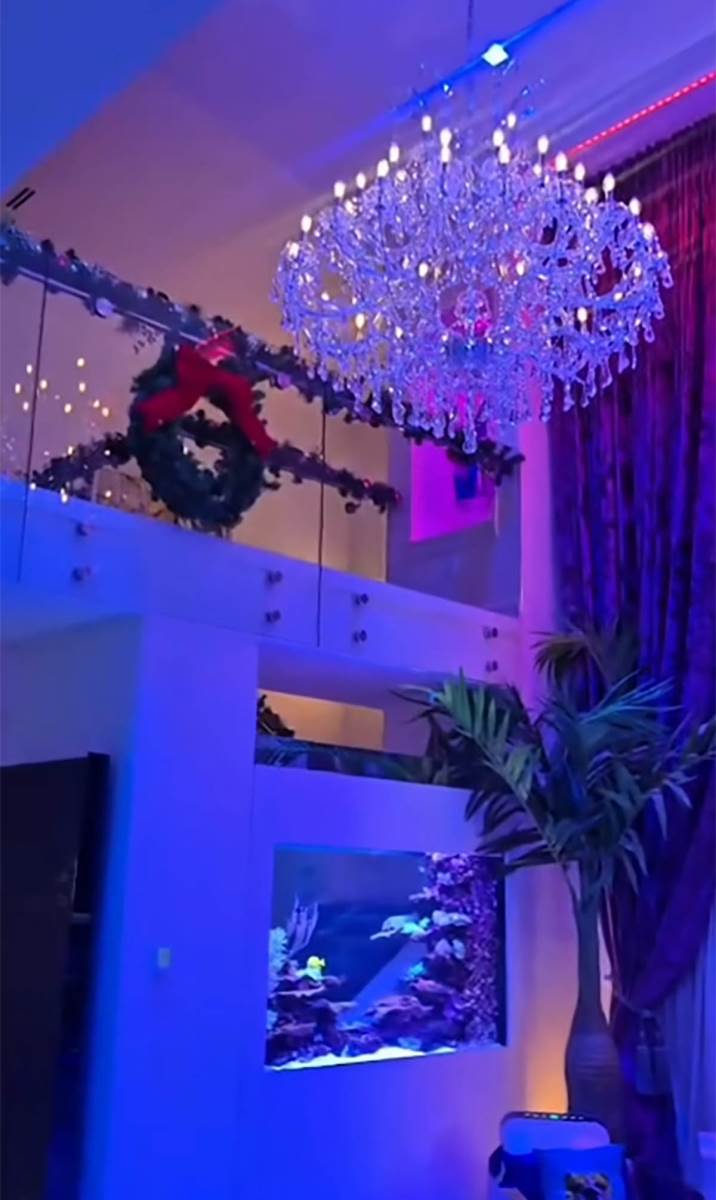 Koko Ostin nova kuća (3).jpg