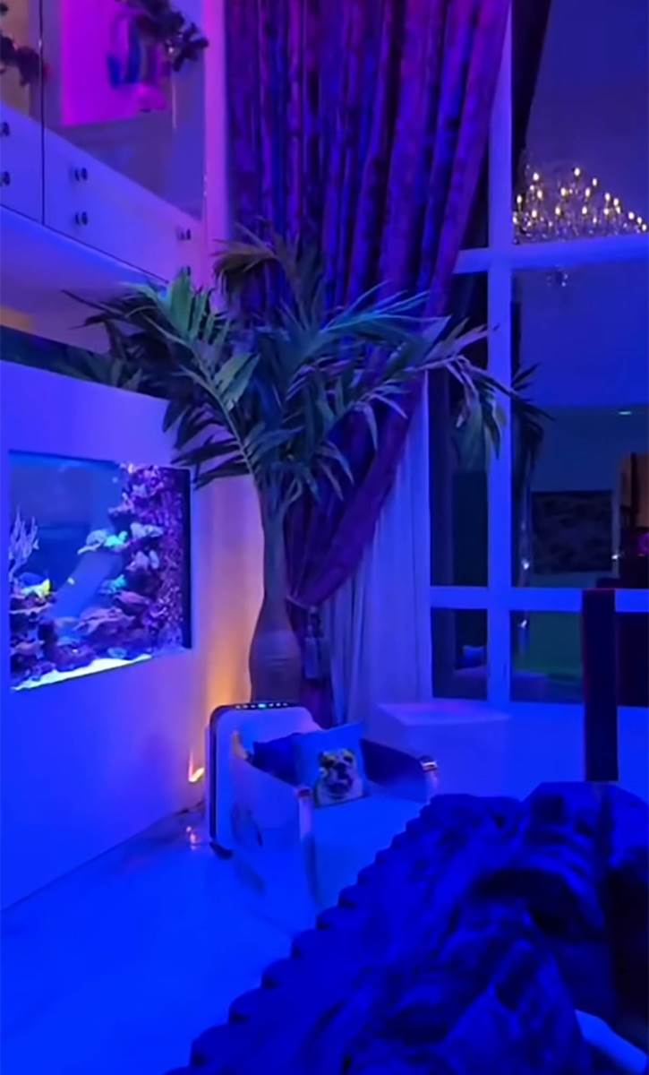 Koko Ostin nova kuća (4).jpg