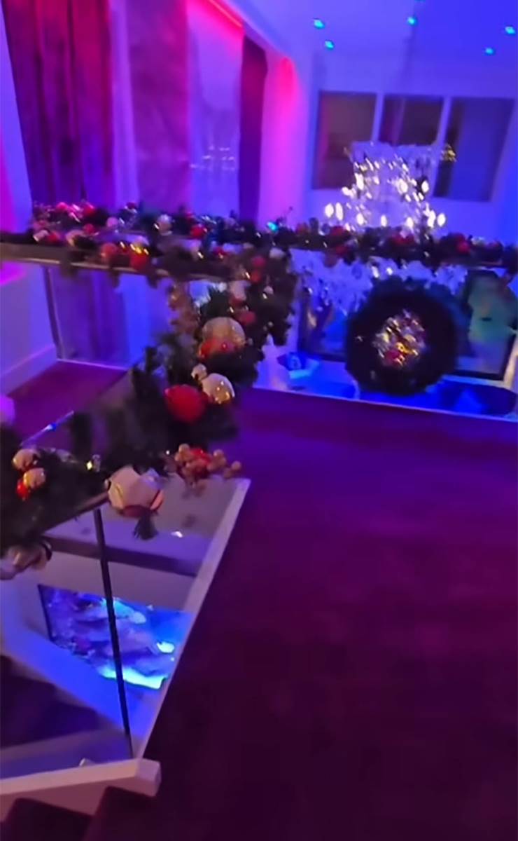 Koko Ostin nova kuća (6).jpg