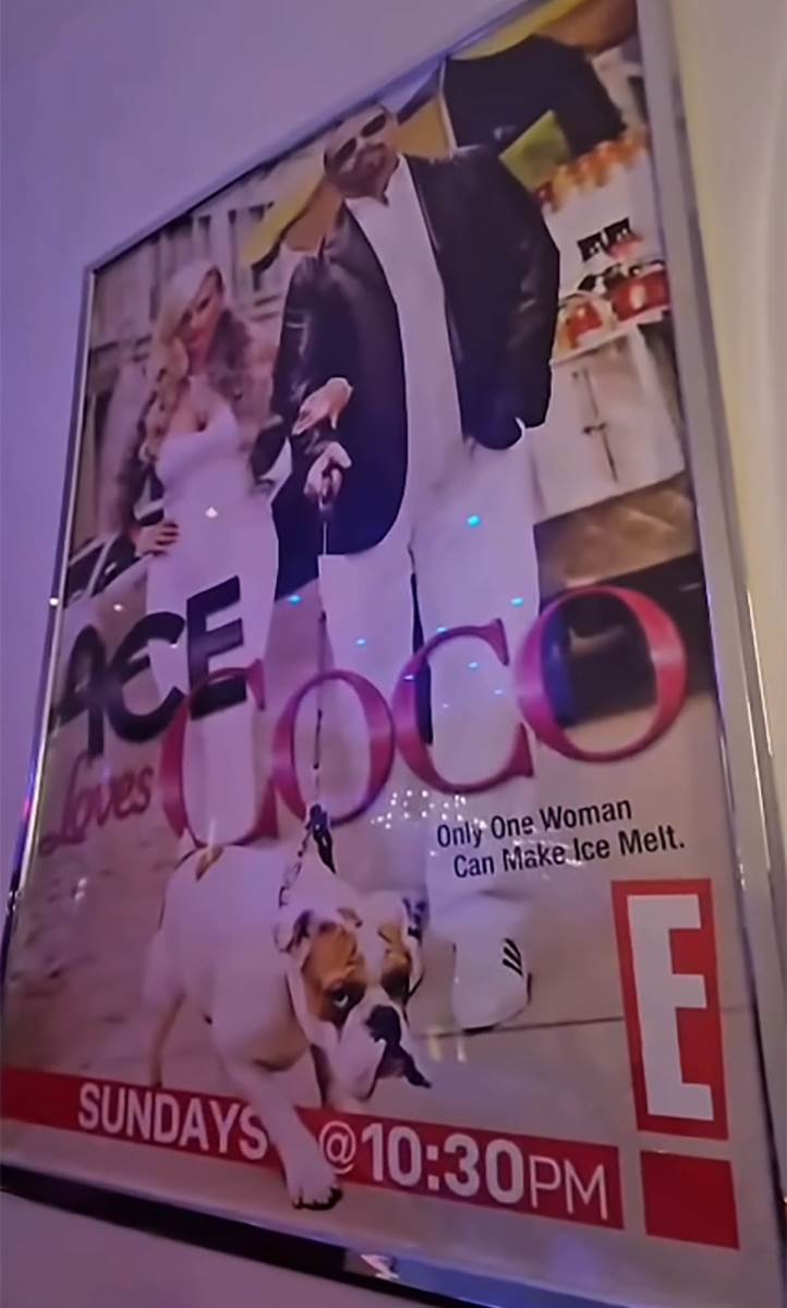 Koko Ostin nova kuća (7).jpg