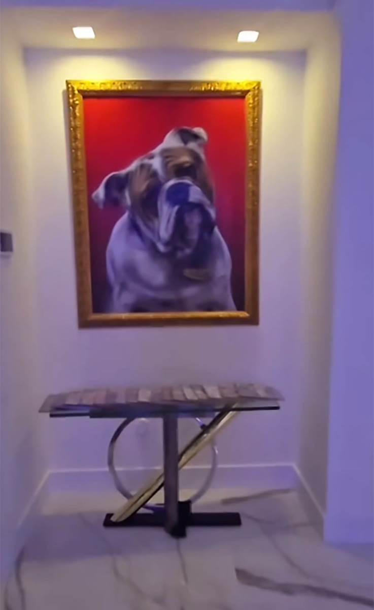 Koko Ostin nova kuća (9).jpg