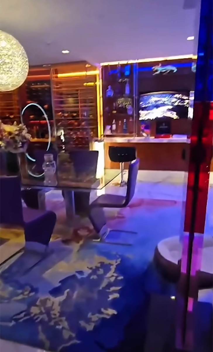 Koko Ostin nova kuća (11).jpg