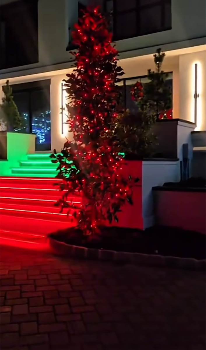 Koko Ostin nova kuća (13).jpg