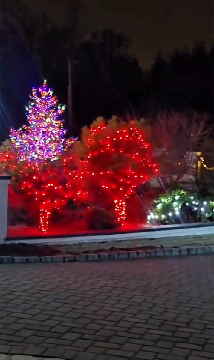 Koko Ostin nova kuća (14).jpg