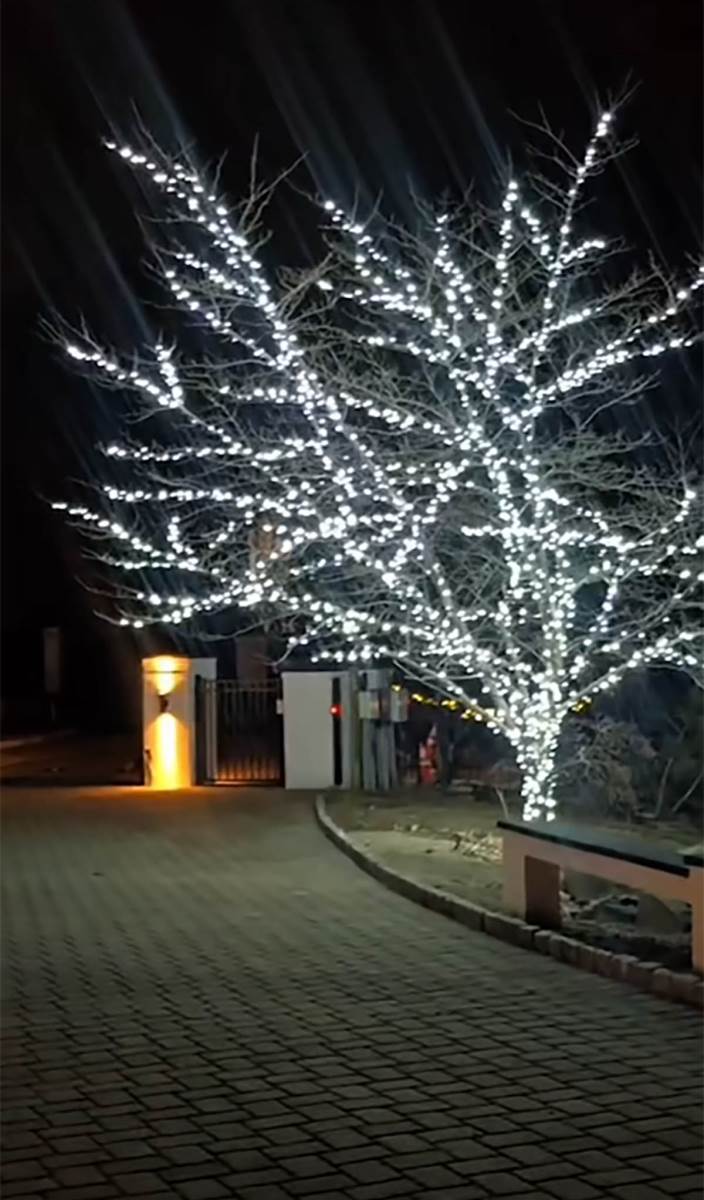 Koko Ostin nova kuća (16).jpg