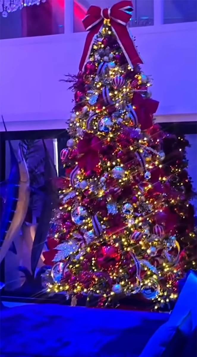 Koko Ostin nova kuća (20).jpg