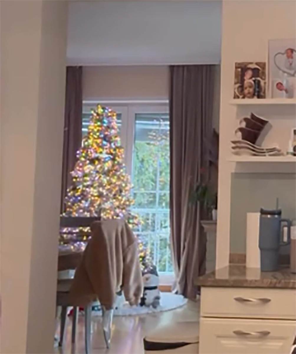 Maja Berović pokazala deo luksuznog doma (5).jpg