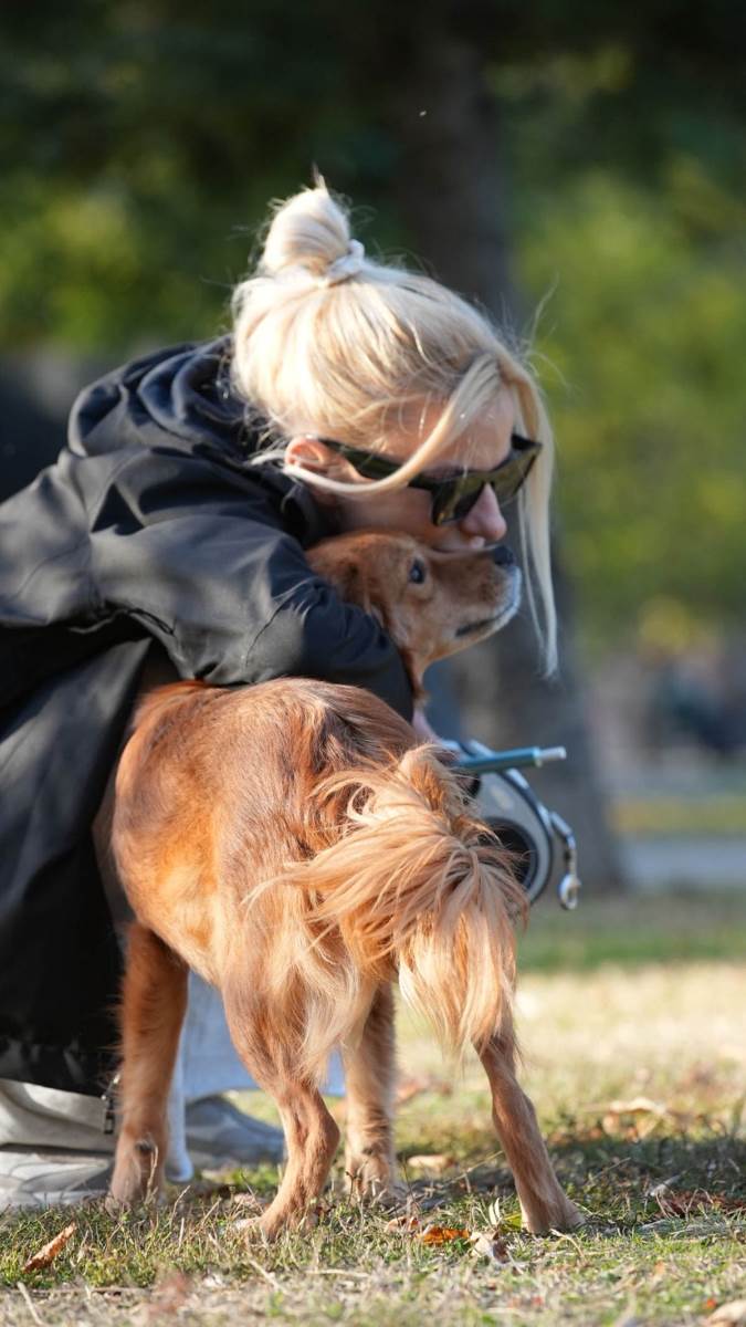 Udomljavanje napuštenih životinja (7).jpg