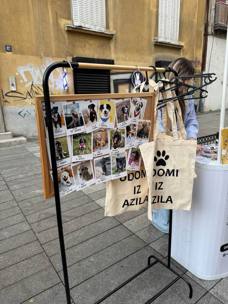 Udomljavanje napuštenih životinja (9).jpg