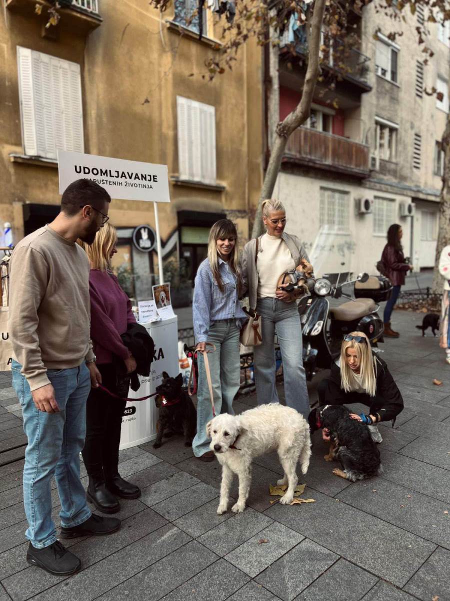 Udomljavanje napuštenih životinja (11).jpg