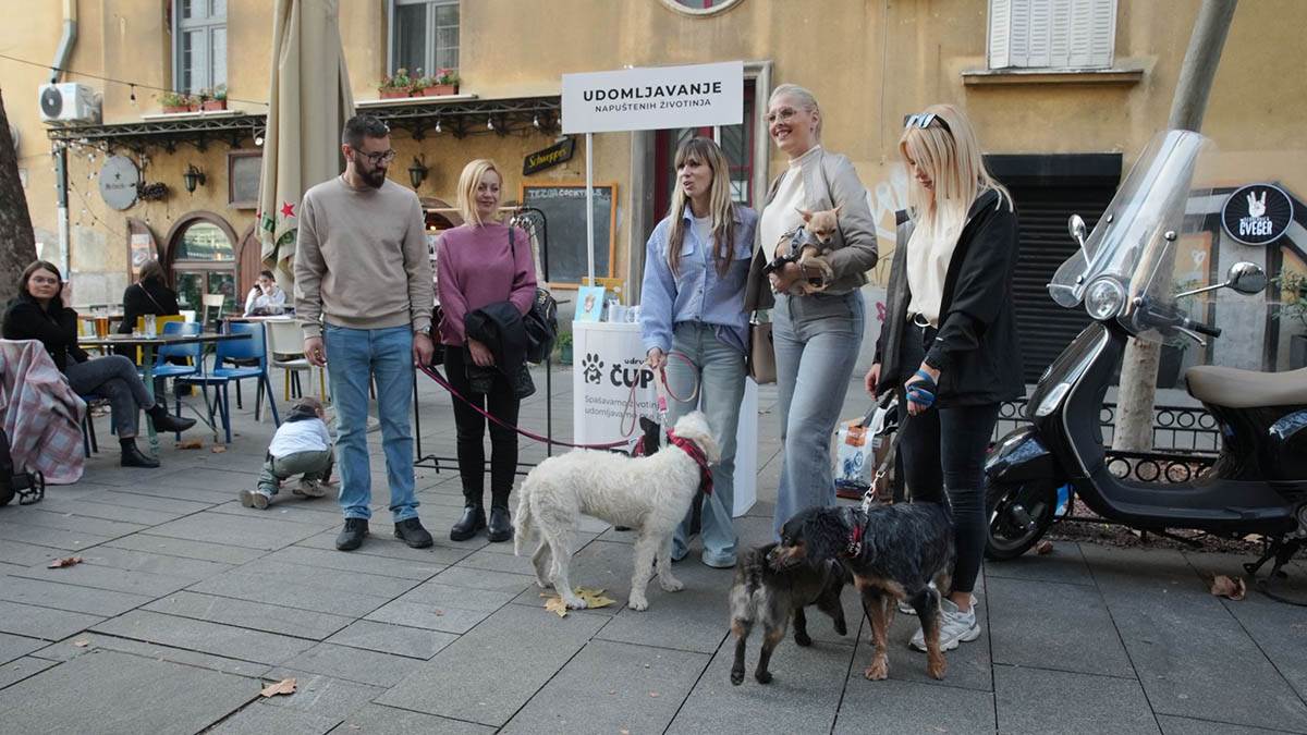 Udomljavanje napuštenih životinja (15).jpg