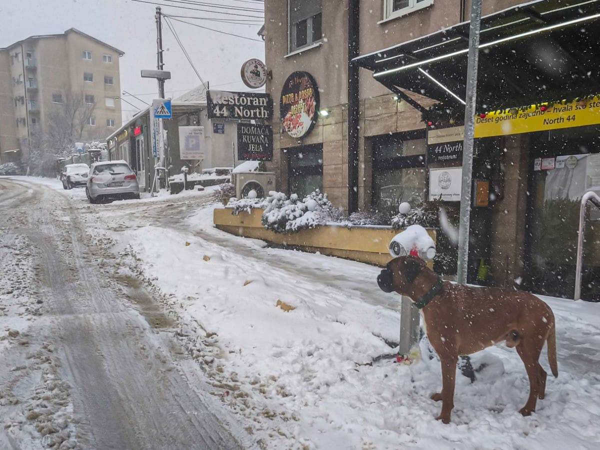 sneg beograd (2).jpg