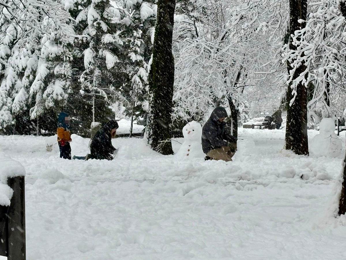 Sneg na Tašmajdanu (2).jpg