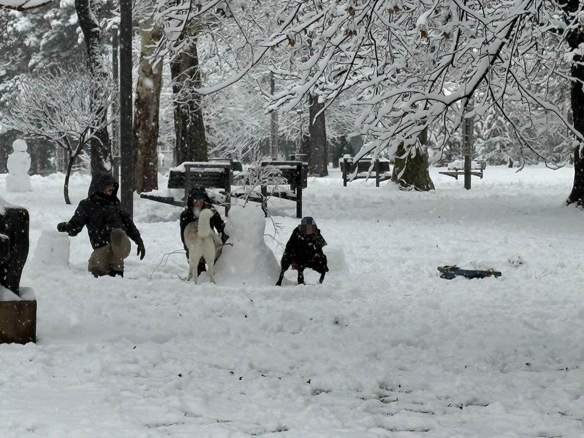 Sneg na Tašmajdanu (3).jpg