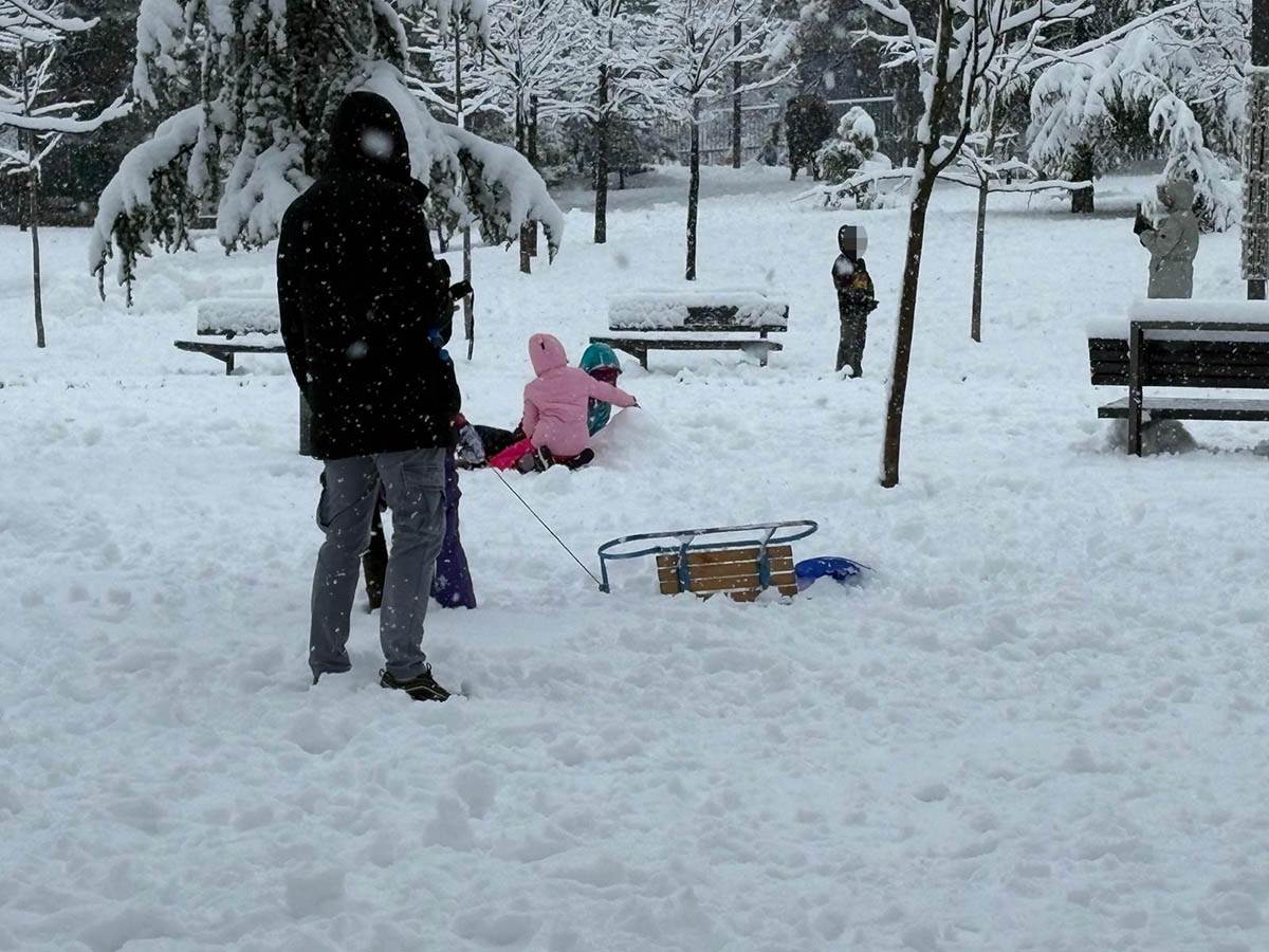 Sneg na Tašmajdanu (4).jpg