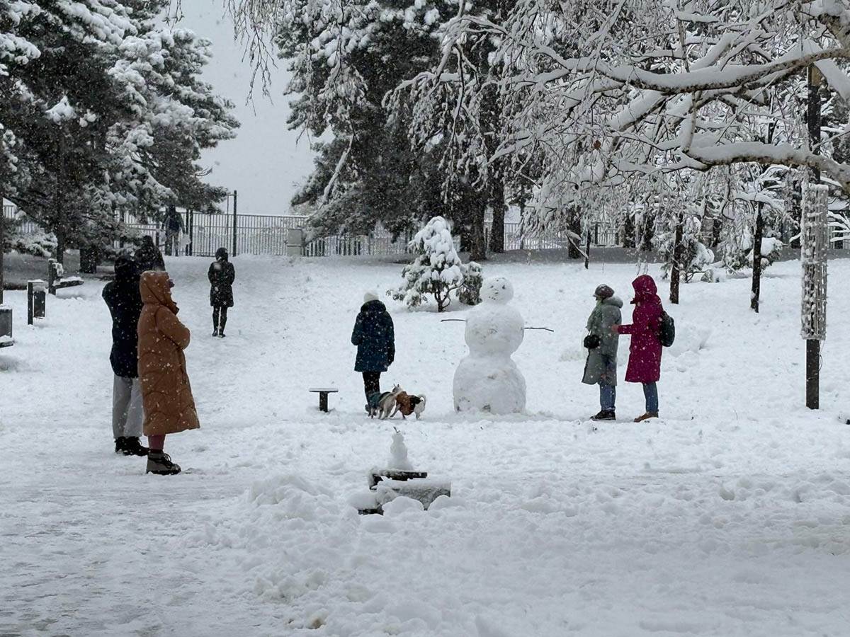 Sneg na Tašmajdanu (5).jpg