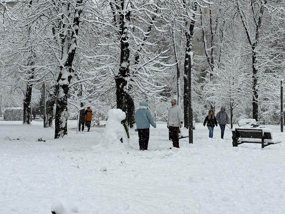 Sneg na Tašmajdanu (6).jpg