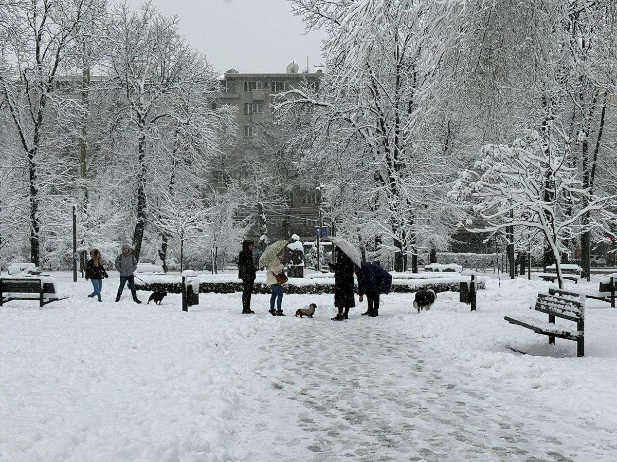 Sneg na Tašmajdanu (7).jpg