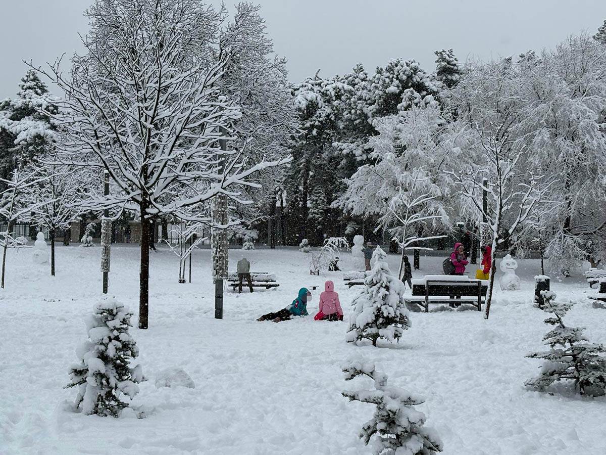 Sneg na Tašmajdanu (8).jpg