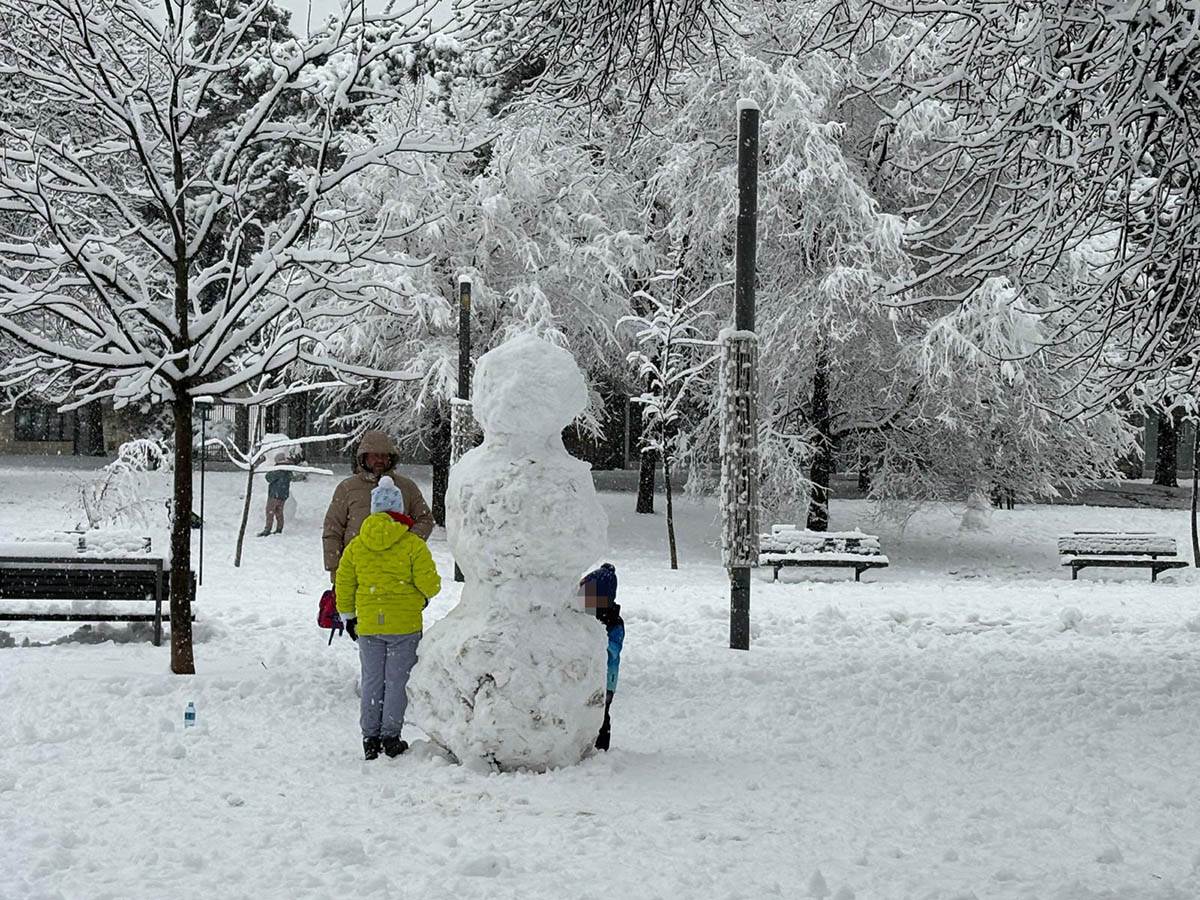 Sneg na Tašmajdanu (9).jpg