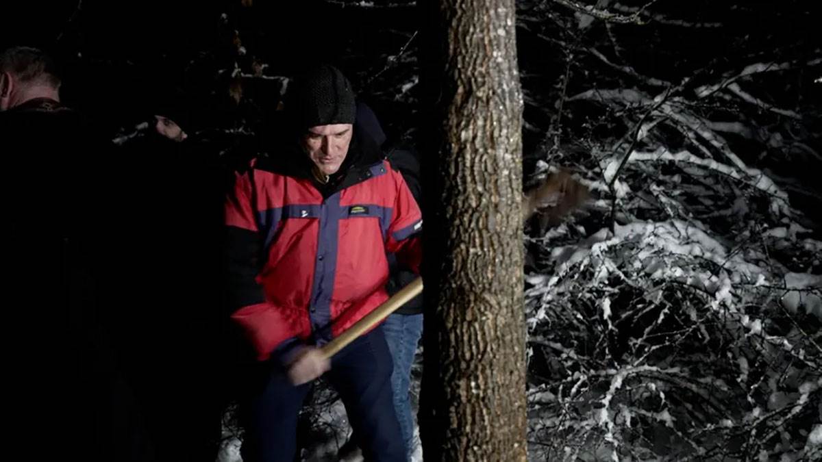 Seča badnjaka (4).jpg