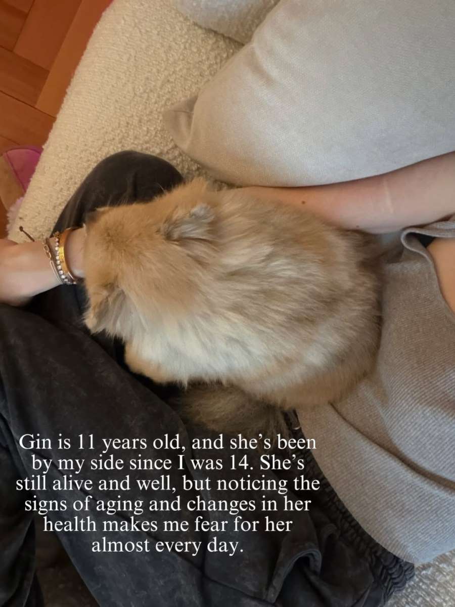 Ema Cepter najteži trenuci u 2025