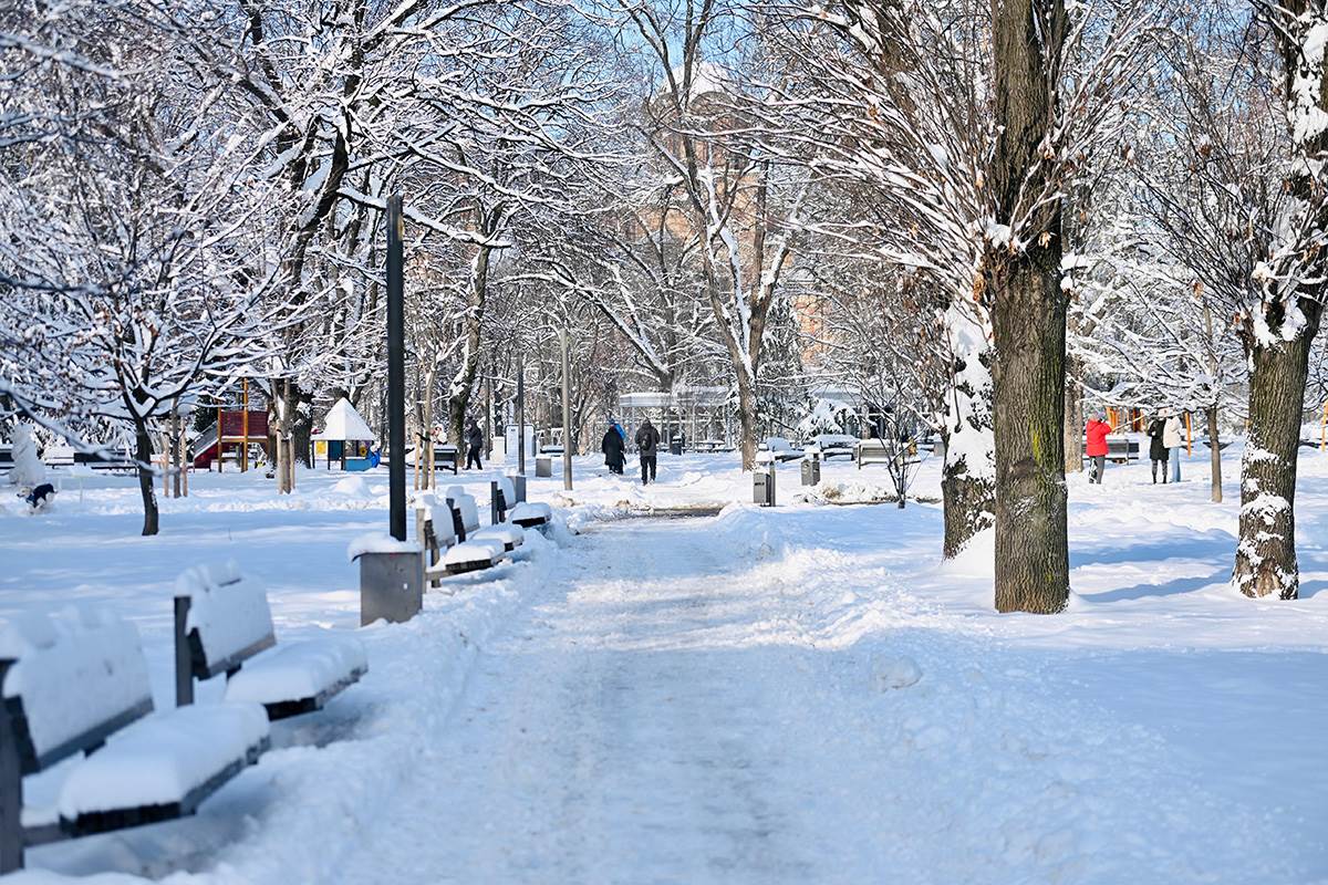 Sneg u Beogradu (8).jpg